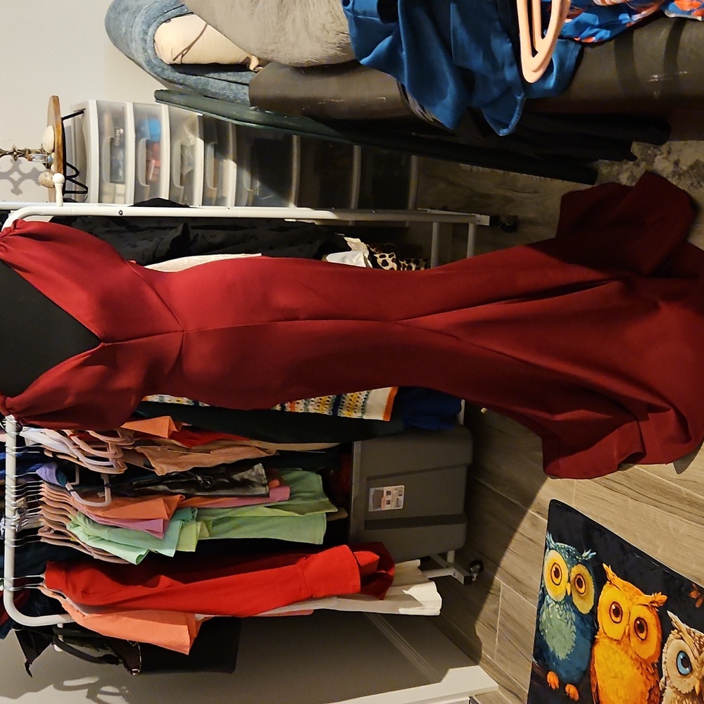 Burgundy dress nwot